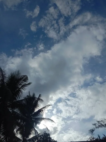 Langit Biru Dengan Pohon Latar Belakang — Stok Foto