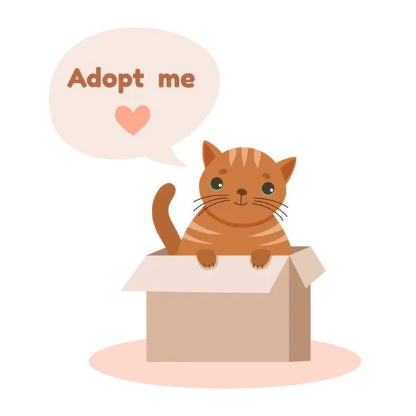 Ingwer Heimatlose Katze Oder Kätzchen Einem Karton Bittet Die Adoption — Stockvektor