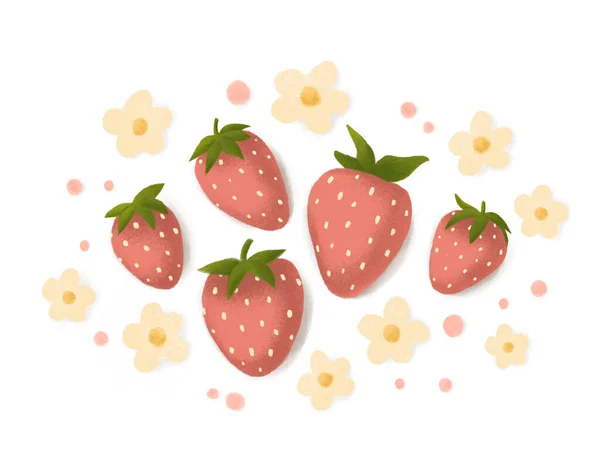 イチゴと花の組成 白を基調としたジューシーな質感の手描きイラスト カード バナー ウェブページ プランナー デザインのために — ストック写真