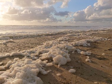 Hollanda, Texel 'in güzel plajında denizden köpük geliyor.