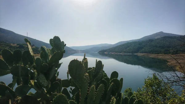 stock image Sardinia landscape lake mountains 