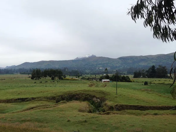 Güzel botanik fotoğrafı, doğal duvar kağıdı.