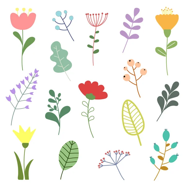 Conjunto Vetorial Elementos Florais Com Flores Folhas Desenhadas Mão Design — Vetor de Stock