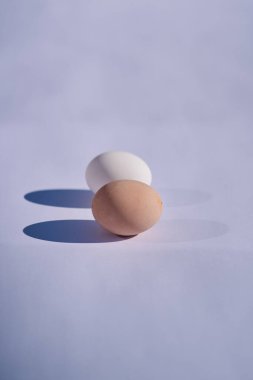 Beyaz yumurta ve kahverengi yumurta.