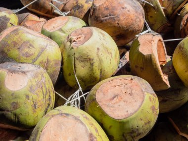dağınık yeşil hindistan cevizleri. Yeşil hindistan cevizi suyu sağlık için iyidir. ve hindistan cevizi kabukları yanan malzemeler için kullanılabilir..