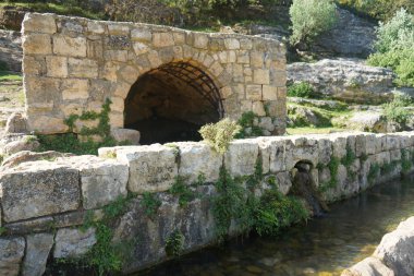 Ein Hotam. Gorge Ein Kziv. Bu baharda her zaman soğuk su olur, en sıcak günde bile..