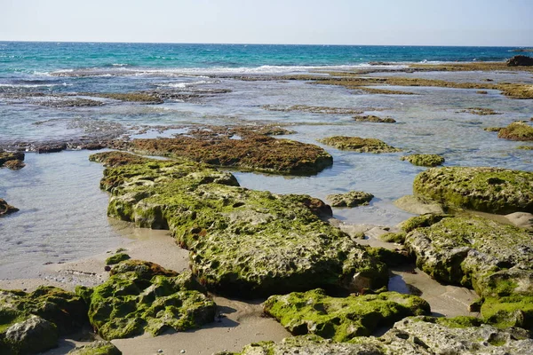 이스라엘 해안이 갈라지고 해변은 바위로 — 스톡 사진