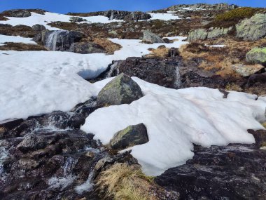 On mount Hoven .Norway.Everywhere streams and the remains of snow