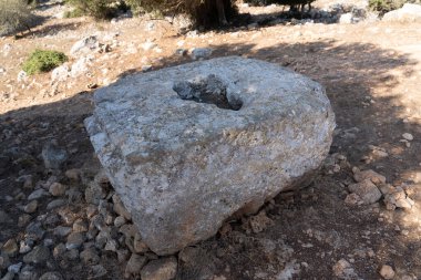  Carmel Dağı 'ndaki İbrani yerleşim yerinin yıkıntıları üzerinde. M.S. 2. yüzyıldan kalma, ortasında bir delik olan bir taş blok.