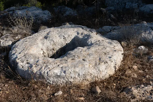 公元二 六世纪 在卡梅尔山上的希伯来人定居点卡拉赫的废墟上 这块圆石子最可能是橄榄压榨机的驱动部分 — 图库照片