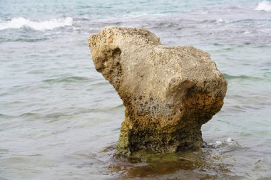                                                              Habonim rezervlerinin kıyıları sadece doğal güzelliği ile insanları buraya çekmiyor. Eski liman şehri Tel Dor 'un kalıntıları yakınında.                                              