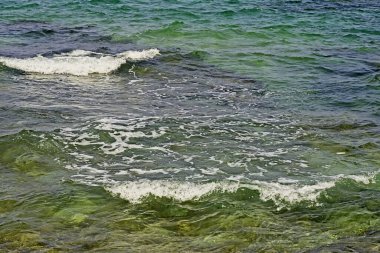 Abonim Reserve kıyıları belki de Akdeniz 'in İsrail' deki en güzel ve çekici yeridir. Garip rahatlama, berrak su, kumlu gölcükler, donanımlı yürüyüş yolları ve yollar insanları buraya çekiyor.. 