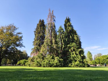 Parkın köşesi. Pamplona şehrinde kale. İspanya.