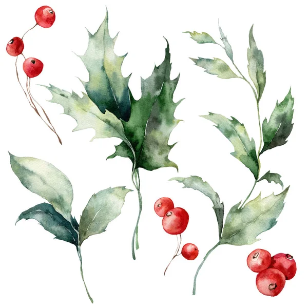 Akvarel Vánoční Sada Červených Bobulí Cesmínových Listů Větví Ručně Malované — Stock fotografie