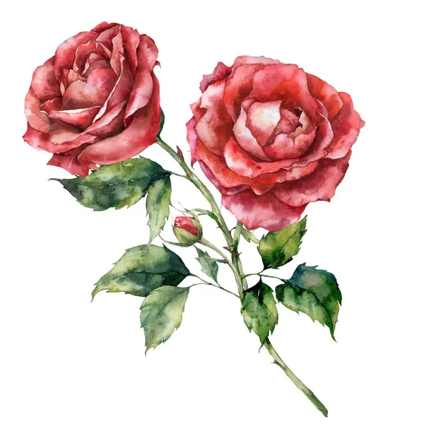 Akvarell Jul Röd Ros Bukett Handmålade Semester Blommor Och Knopp — Stockfoto
