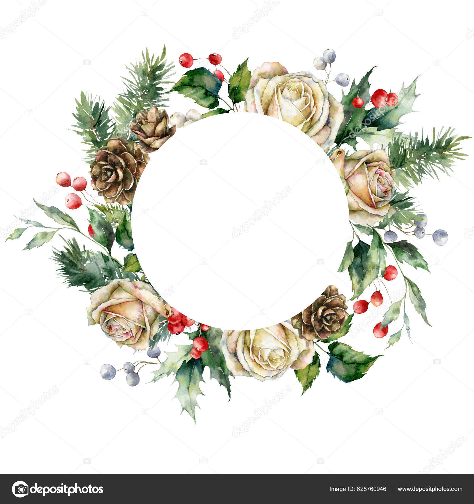 水の色バラ ベリー 松の実と葉のクリスマスラウンドフレーム 白い背景に隔離された花や植物の手描きの休日カード デザイン プリント 背景のイラスト—  ストックイラストレーション by © Derbisheva #625760946, image size:1600x1700