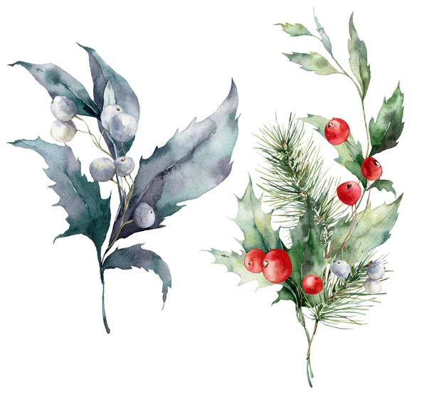 水の色松の枝 果実や葉のクリスマスセット 白い背景に隔離された植物の手描きの休日の組成 デザイン プリント ファブリックまたは背景のためのイラスト — ストック写真