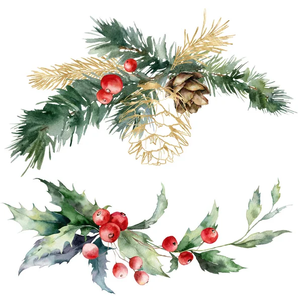 水の色黄金の松のコーン 赤い果実と枝のクリスマスセット 白い背景に隔離された植物の手描きの休日の組成 デザイン プリント 背景のイラスト — ストック写真