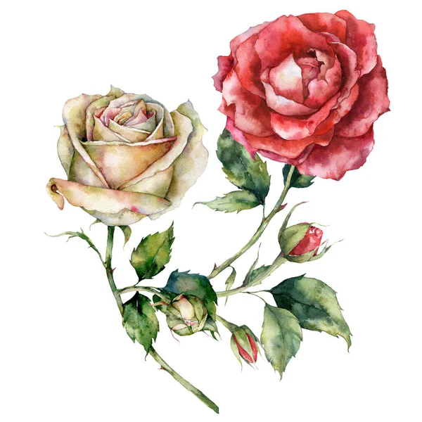 白と赤のバラの水彩クリスマス花束 白い背景に孤立した花や芽の手描きの休日カード デザイン プリント ファブリックまたは背景のためのイラスト — ストック写真