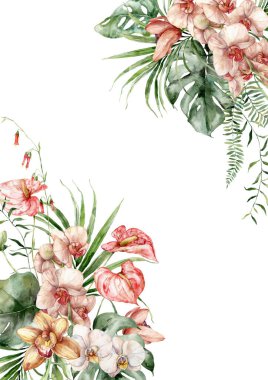 Orkide, canavar, anthurium ve bitkilerden oluşan suluboya tropikal çiçekler. Beyaz arka planda elle boyanmış çiçek çerçevesi. Tasarım, baskı, kumaş veya arkaplan için Tatil Resimleri