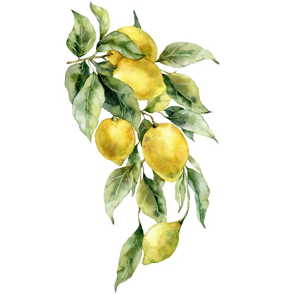 Watercolor Tropical Bouquet Ripe Lemons Leaves Hand Painted Branch Fresh — Fotografia de Stock