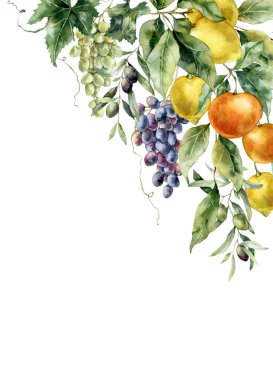 Watercolor tropical border of ripe lemons, olive, oranges, grapes and leaves. Hand painted branch of fresh fruits isolated on white background. Tasty food illustration for design, print or background