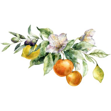 Watercolor tropical bouquet of ripe oranges, lemons, flowers and leaves. Hand painted branch of fruits isolated on white background. Tasty food illustration for design, print, fabric, background