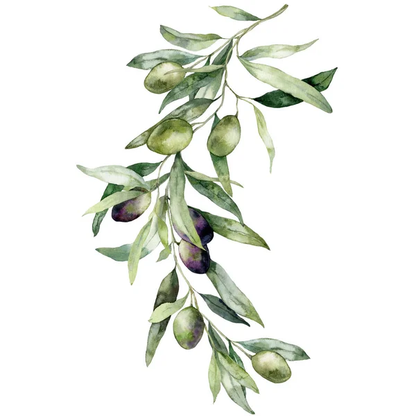 Watercolor Card Olive Branches Black Green Berries Hand Painted Nature — Stock Fotó