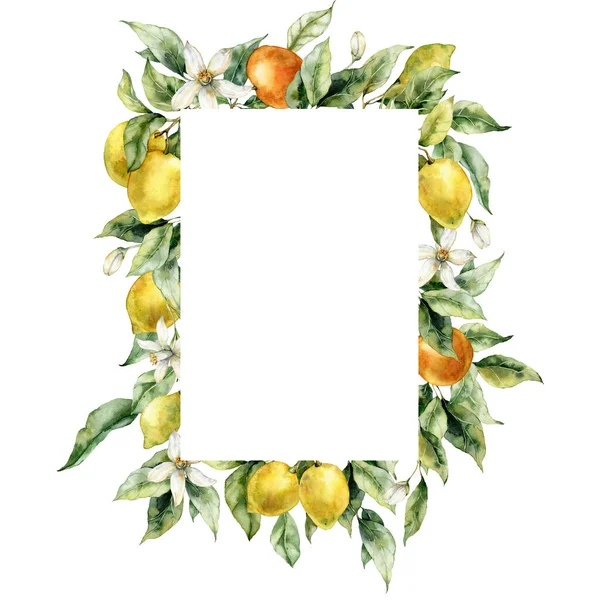 Акварель Тропічна Рамка Стиглих Лимонів Квітів Апельсинів Листя Ручна Пофарбована — стокове фото