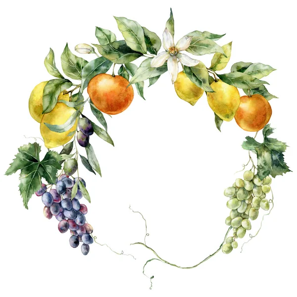 水彩缤纷的热带花环 成熟的柠檬 葡萄和树叶 用手绘的新鲜水果枝条隔离在白色的背景上 味道鲜美的食物插图 — 图库照片