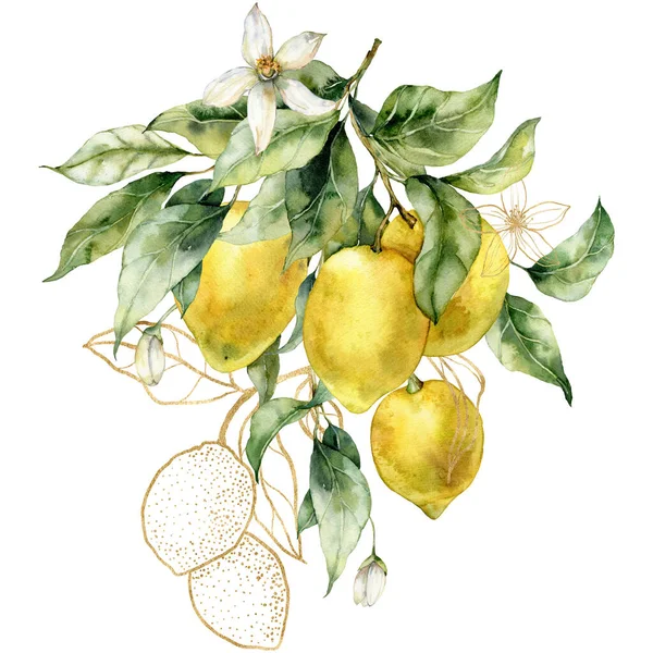 Акварельний Тропічний Букет Золотих Лимонів Квітів Листя Мистецтва Лінії Ручна — стокове фото