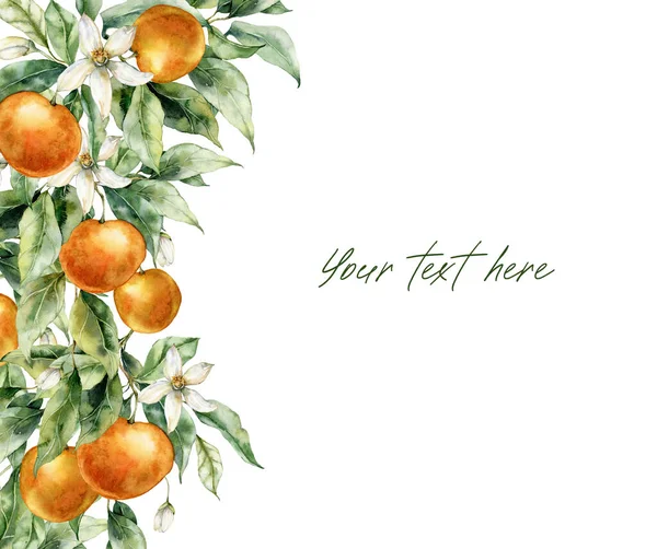 Olgun Portakallı Suluboya Kart Çiçekler Yapraklar Beyaz Arka Planda Izole — Stok fotoğraf