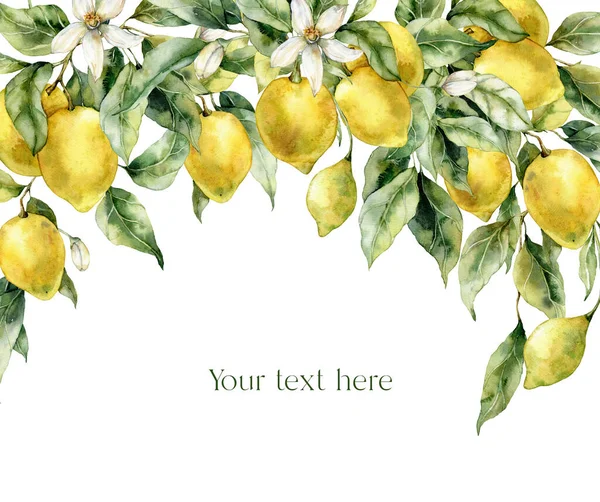 Olgun Limon Çiçek Yapraklardan Oluşan Suluboya Bir Kart Beyaz Arka — Stok fotoğraf