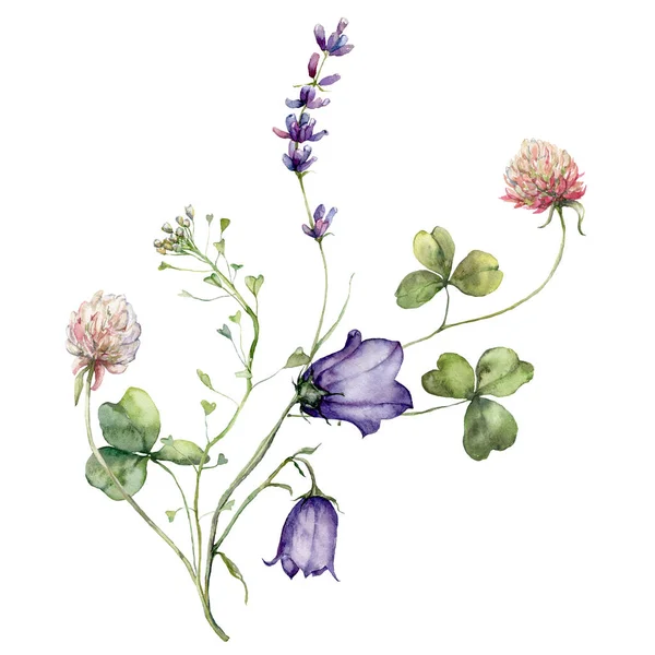 수채화 초장에는 캄파눌라 라벤더 꽃다발을 이루고 배경에 떨어져 야생화 포스터를 — 스톡 사진