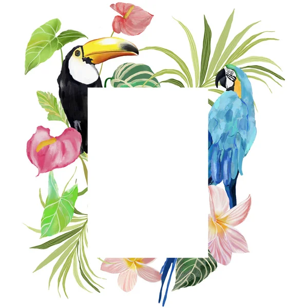 丙烯酸抽象热带框架的植物 牛油果和鹦鹉 手绘鸟类 怪兽和线条的卡片 在白色背景上孤立的用于设计 印刷或背景的花卉图解 — 图库照片