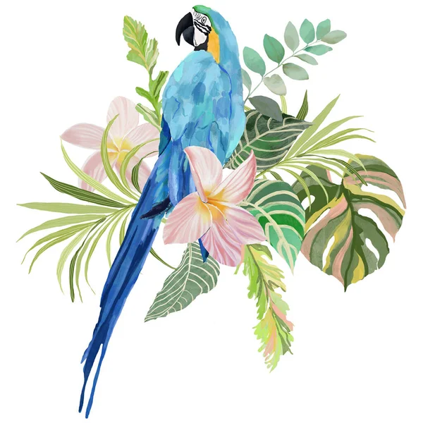 丙烯酸的热带花卉和鹦鹉的组成 用手绘的鸟卡 羽毛卡 安眠药卡和魔头卡 在白色背景上孤立的用于设计 印刷或背景的花卉图解 — 图库照片