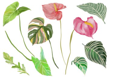 Akrilik tropikal şarbon seti, palmiyeler ve bitkiler. Beyaz arka planda izole edilmiş elle boyanmış çiçekler. Tasarım, baskı, kumaş veya arkaplan için Tatil Resimleri