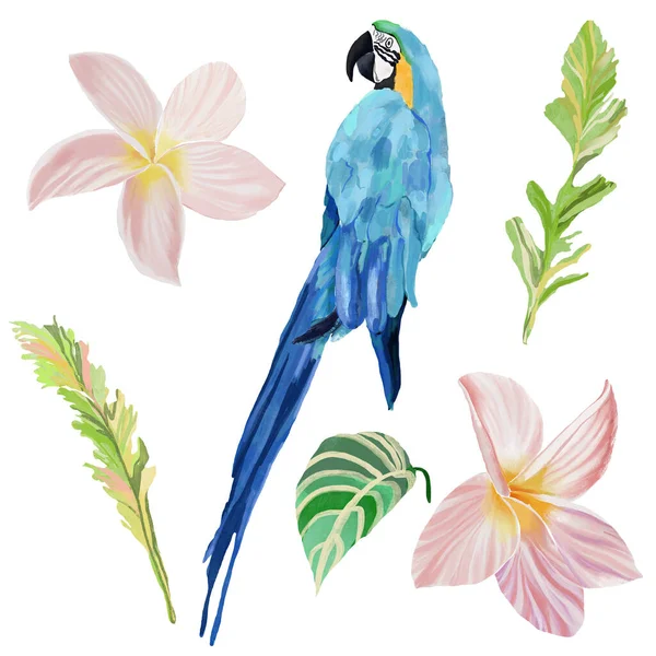 丙烯酸抽象的热带鹦鹉和花 手绘鸟类 棕榈和羽毛的卡片 在白色背景上孤立的用于设计 织物或背景的花卉图解 — 图库照片