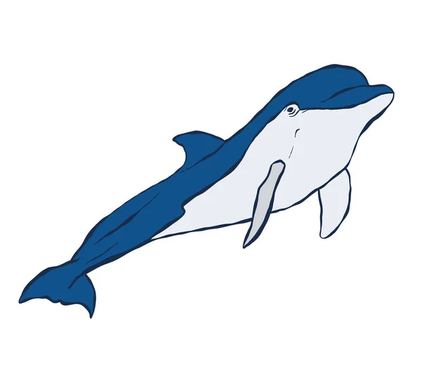 Delfín Vectorial Ilustración Animal Submarina Aislada Sobre Fondo Blanco Para — Vector de stock