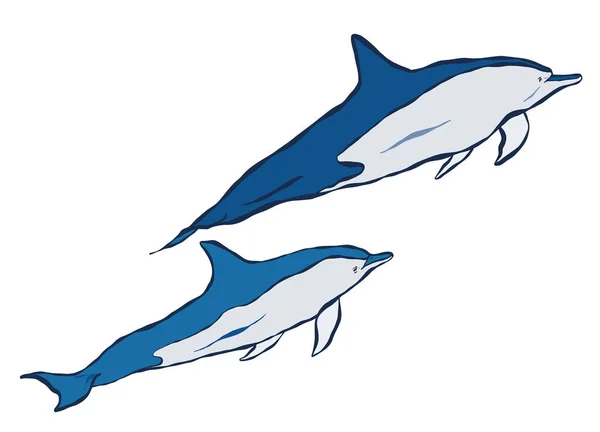 Векторные Дельфины Иллюстрация Подводных Животных Изолирована Белом Фоне Оформления Печати — стоковый вектор