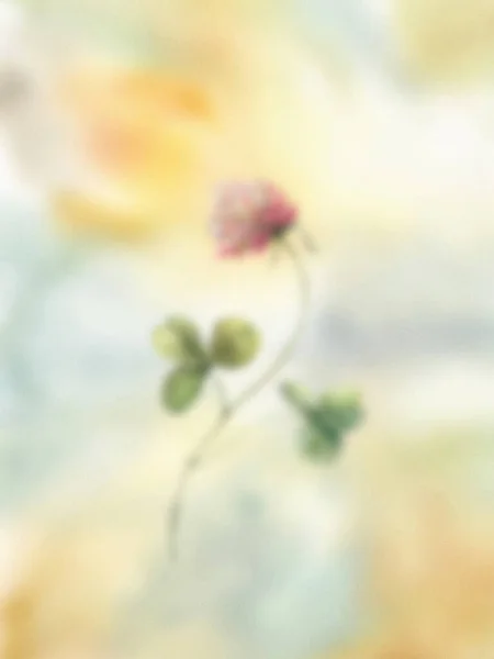 Složení Jetele Akvarelu Ručně Malované Letní Květiny Izolované Gradientu Pozadí — Stock fotografie
