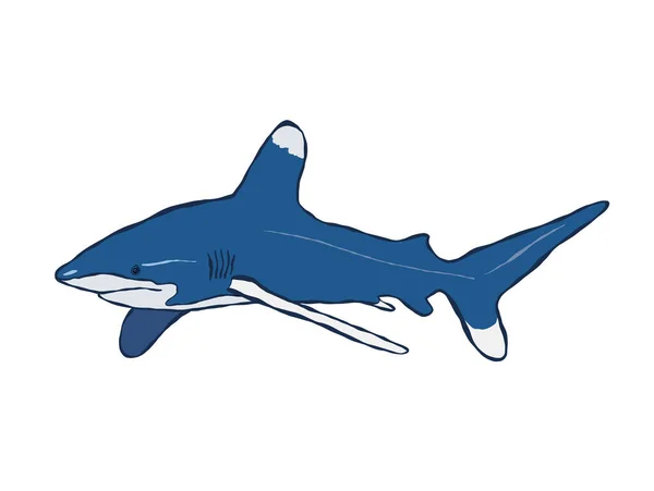 ベクトル危険なサメ 白を基調とした水中動物イラスト デザイン プリント ファブリックまたは背景のために — ストックベクタ