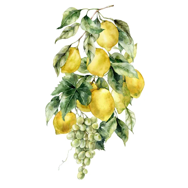Акварельний Тропічний Склад Гілок Лимона Винограду Ручна Пофарбована Листівка Свіжих — стокове фото