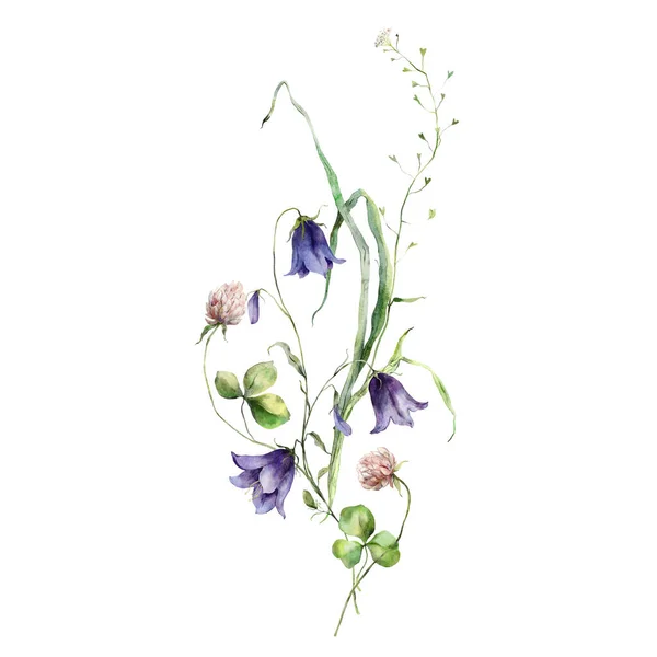 Akvarell Äng Blommor Bukett Campanulas Klöver Och Blad Handmålade Blommor — Stockfoto