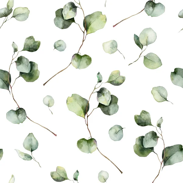 Akwarela Kwiatowy Bezszwowy Wzór Gałęzi Eukaliptusa Liśćmi Nasionami Ręcznie Malowane — Zdjęcie stockowe