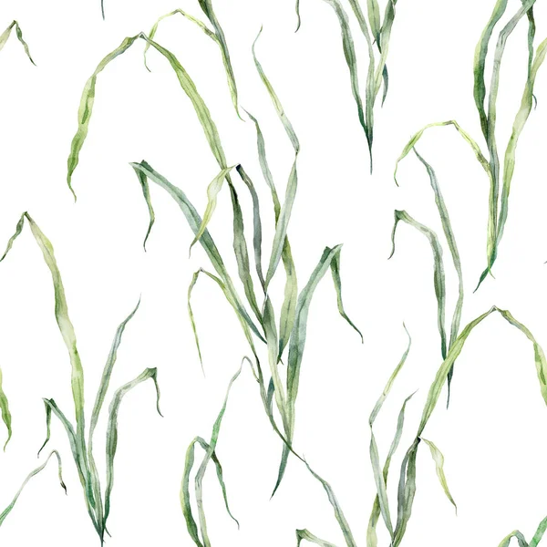 Akvarell Blommig Sömlös Mönster Äng Gräs Handmålade Växter Isolerade Vit — Stockfoto