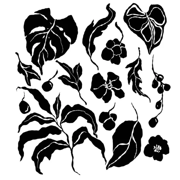 Vector Tropische Abstracte Set Van Zwarte Bloemen Bladeren Met Hand — Stockvector