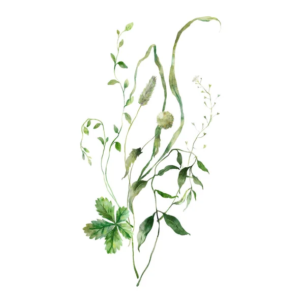 Υδατογραφία Λιβάδι Μπουκέτο Βότανα Χειροποίητη Floral Απεικόνιση Που Απομονώνεται Λευκό — Φωτογραφία Αρχείου