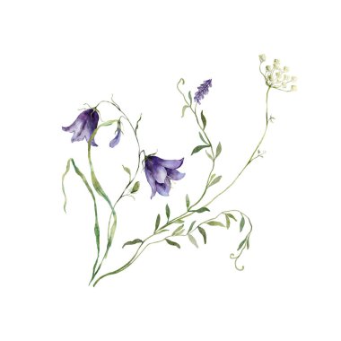 Suluboya çayır çiçek buketi. Beyaz arka planda elde boyanmış çiçek çizimi. Tasarım, baskı, kumaş veya arka plan için. İç mekan için poster