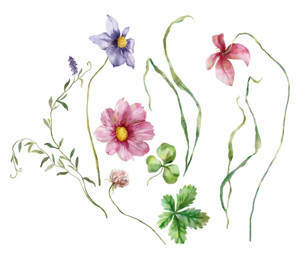 Akvarell Engblomster Sett Med Leirer Valper Håndmalt Blomsterillustrasjon Isolert Hvit – stockfoto